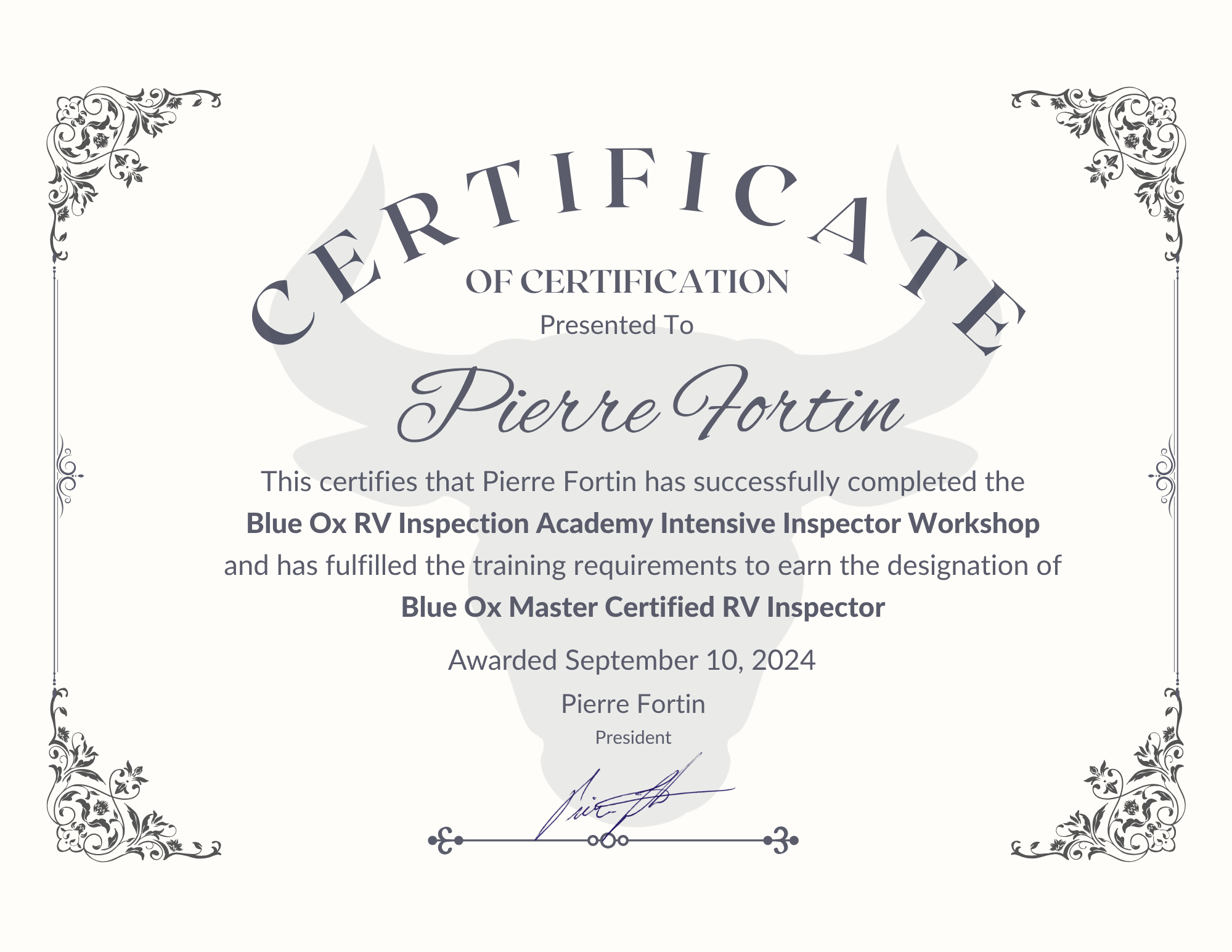 Blue Ox RV Inspection